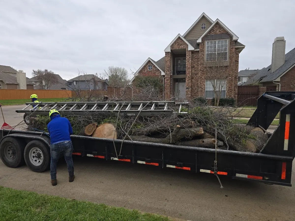 Expert Lot Clearing with proper safety equipment in Ulm